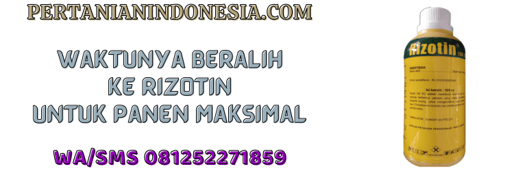 jual,murah,terjangkau,toko pertanian terdekat,pertanian indonesia